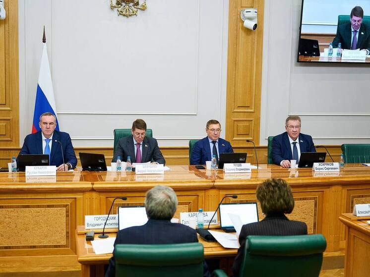 Югра представила в Совфеде программу развития арктических территорий