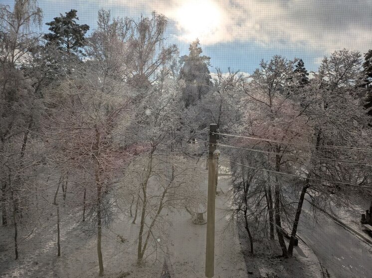 Морозы и мокрый снег накроют воронежский регион в ближайшие выходные