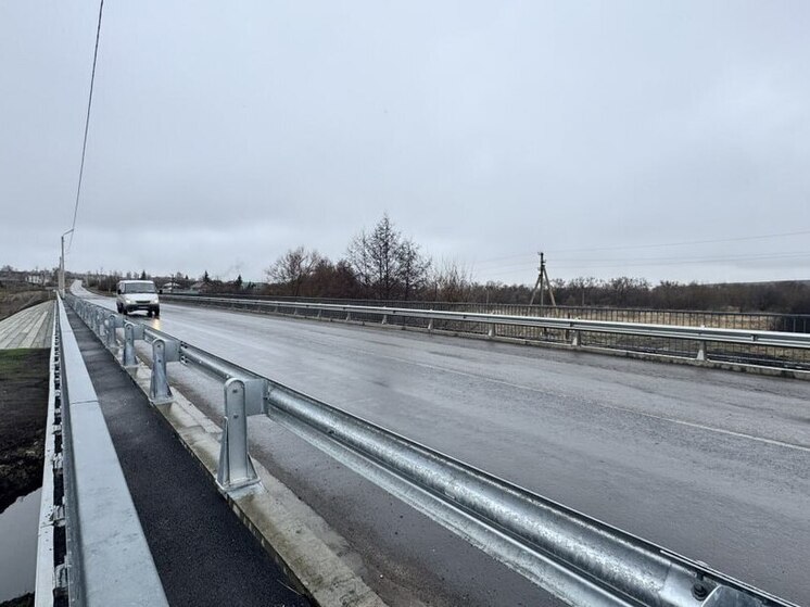 Новый мост в Малосердобинском районе введён в эксплуатацию