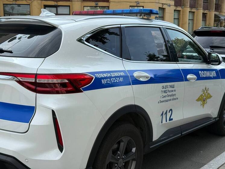 Уличную петербургскую певицу в третий раз задержали за ее выступления