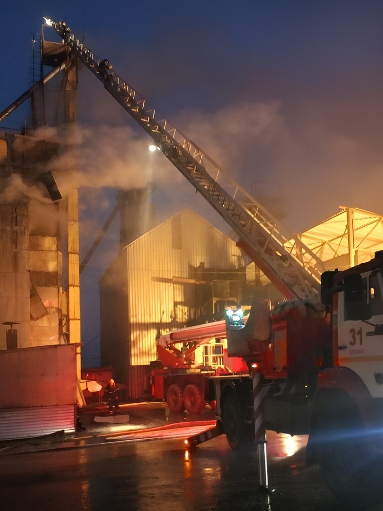 Сушильная камера с семенами загорелась в ООО «ПХ «Лазаревское» под Тулой