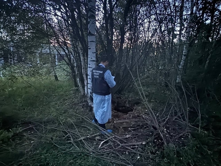 В Ярославской области в гибели четырехлетнего малыша обвинили главу района