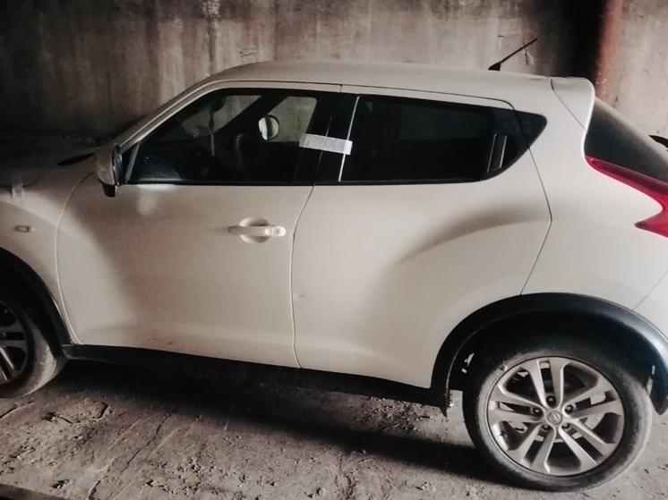 В Чаа-Хольском районе  Тувы суд конфисковал автомашину «Ниссан Жук» у женщины за пьяное  вождение