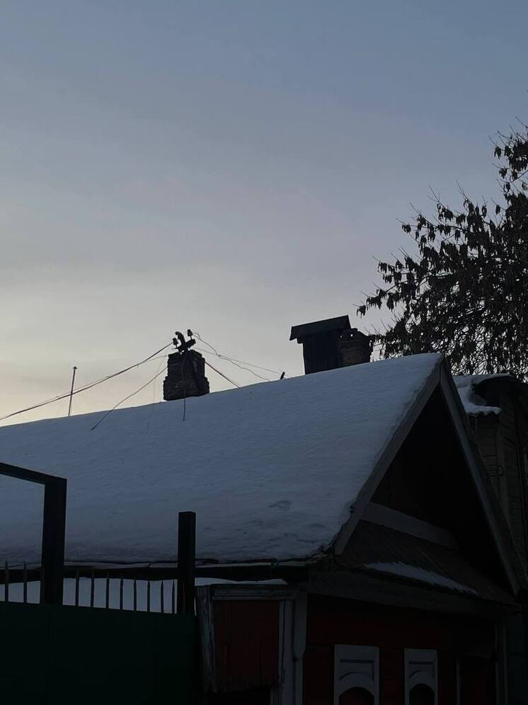 Мокрый снег и дождь пойдут в Самаре 13 ноября 2025 года