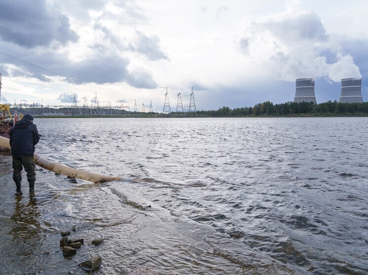 Калининская АЭС выпустила в 2025 году в водоёмы свыше двух тонн рыбы