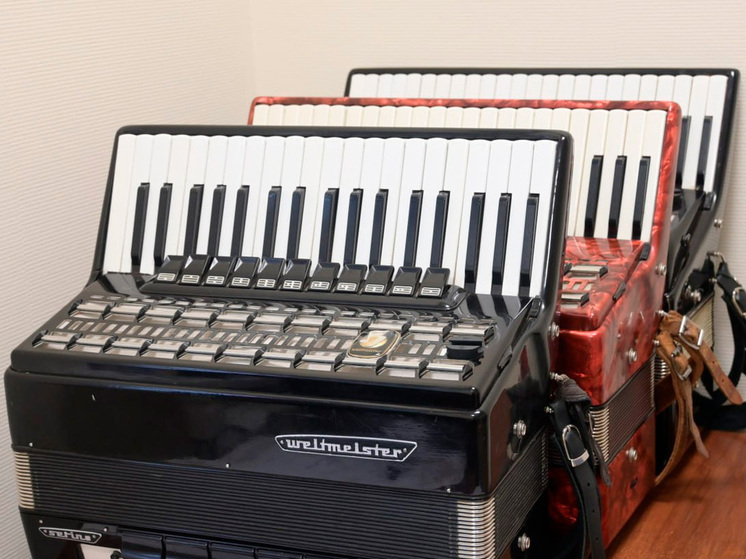 В Липецкой области открыли обновленную детскую школу искусств имени С. Н. Василенко