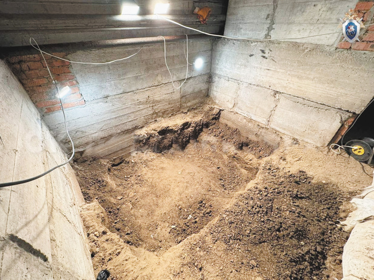 Стало известно о новых преступлениях убийцы 8-летней девочки из Каширы