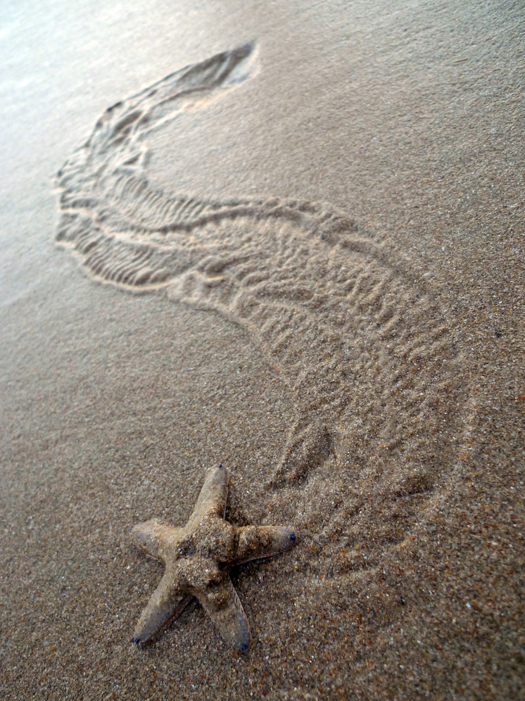 Des chercheurs ont découvert chez l'être humain un « septième sens » caché, celui du toucher à distance.