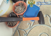 Серийного похитителя собак обезвредили сотрудники полиции в Новой Москве