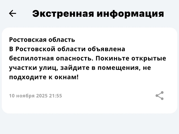 В Ростовской области объявили беспилотную опасность 10 ноября