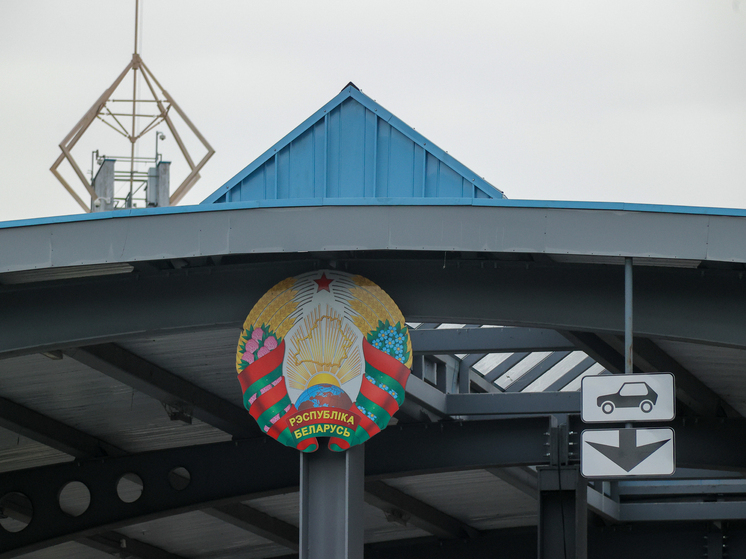 Виткаускас заявил, что Литва снова попросит Белоруссию открыть два пункта пропуска для возврата грузовиков