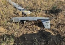 В системе ПВО Украины впервые появится самостоятельное командование, отвечающее за применение дронов-перехватчиков, своего рода беспилотная истребительная авиация