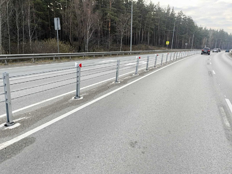 Дорожники завершают установку тросовых ограждений на объездной Барнаула. Как сообщили в Минтрансе Алтайского края, это позволит увеличить безопасность движения транспорта на шоссе Ленточный бор.