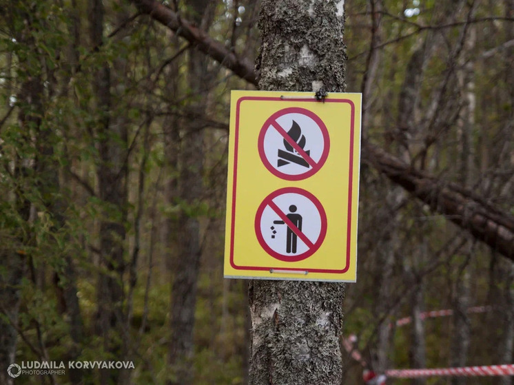 Целый год в Карелии устраняли крупную свалку вдоль лесной дороги