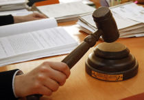 Ряд приговоров по резонансным делам вынесут сегодня, 11 ноября, суды столичного региона