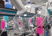 Ученые из Новосибирского института органической химии имени Н