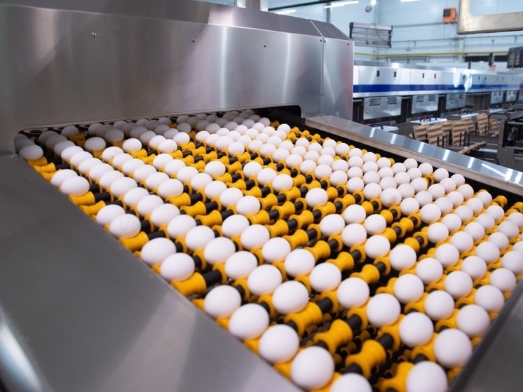 Птицефабрика «Пышминская» приостановила отгрузку куриных яиц