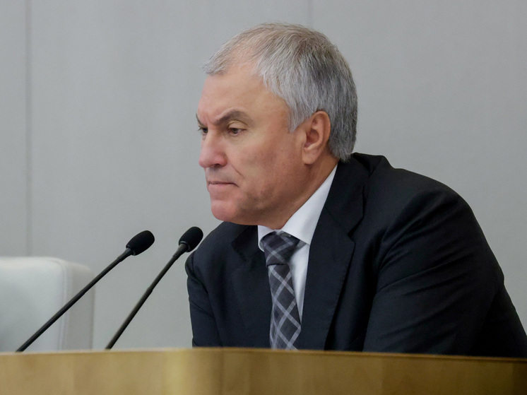 Вячеслав Володин призвал депутатов прекратить ссылаться на президента в оправдание своих тезисов или во время критических высказываний в адрес коллег