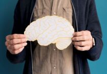 Десятинедельный интенсивный курс мозгового фитнеса может омолодить мозг на целое десятилетие