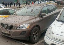 Жители сразу нескольких домов в подмосковном Красногорске будут вынуждены делать ремонт после обрушения фрагмента колонны при сносе горнолыжного комплекса «Снежком»