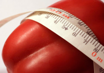 Современная наука совершила переворот в диетологии: оказалось, что лишний вес — это не следствие слабой воли, а результат работы древних механизмов выживания, встроенных в мозг