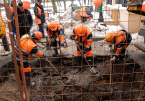 Как волка ни корми, он все в лес смотрит