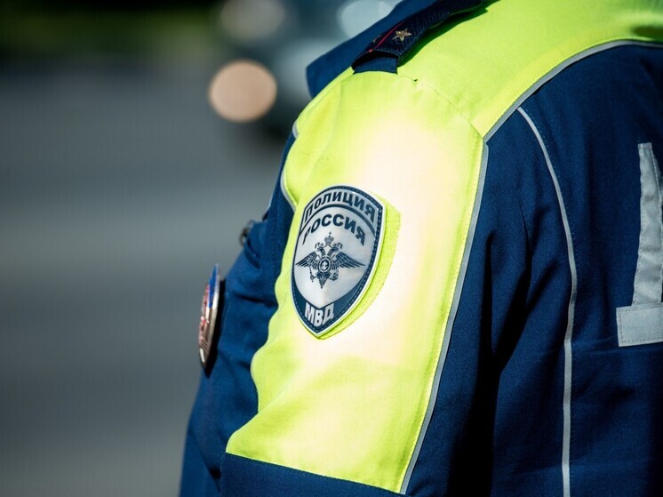 Любителя тонировки с Южного Урала наказали обязательными работами