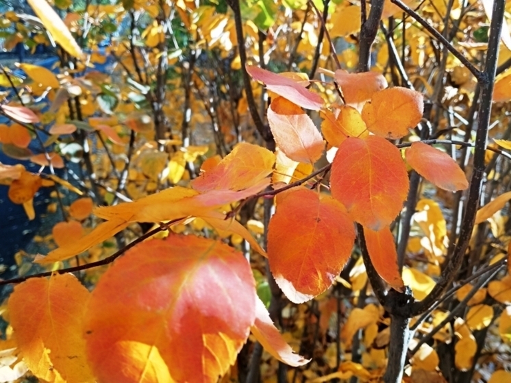 Сила магнитной бури 12 ноября составит 5 баллов: нейтральное время для финансовых операций