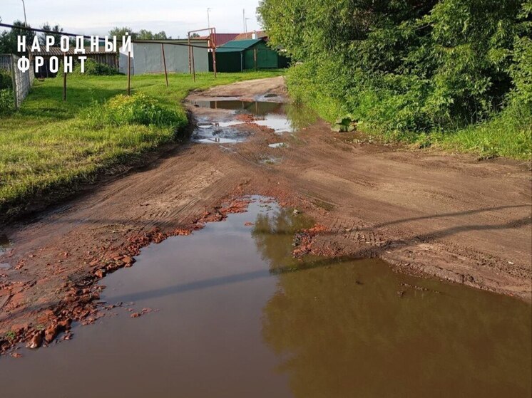Дорогу в селе Бондари приведут в порядок после сигнала Народного фронта