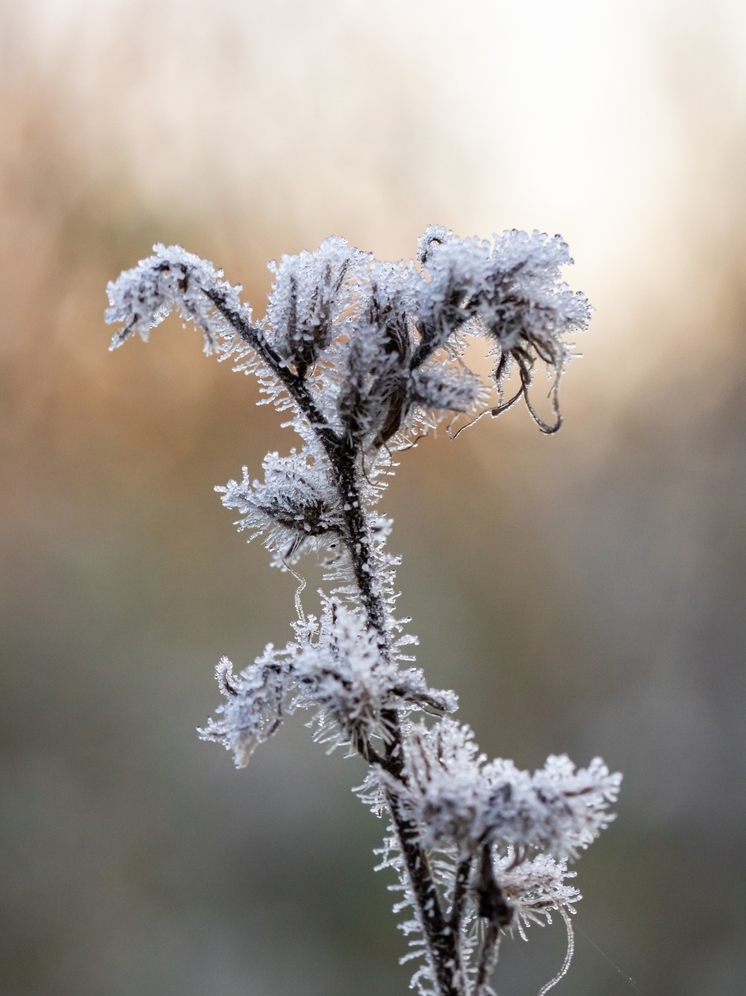 Гололёд, снег и похолодания до -21°С ожидают жителей Томской области 12 ноября