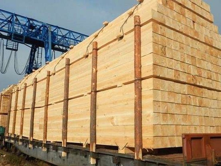 В 2025 году хакасский лес чаще всего вывозили в Таджикистан и Узбекистан