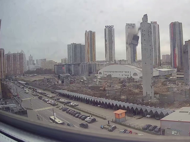 Наринский: отсутствие проекта сноса могло стать причиной обрушения спорткомплекса «Снежком»