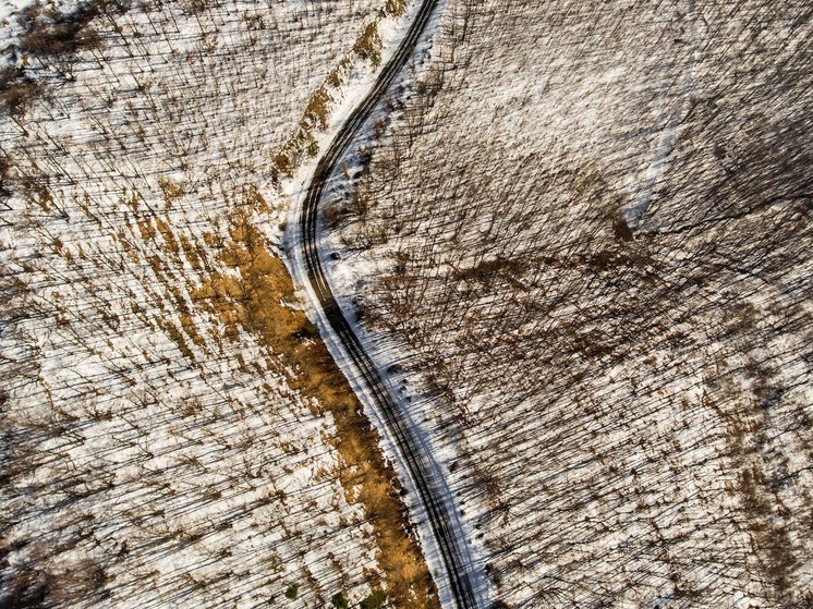 Аномальное предзимье: гидрометцентр прогнозирует тепло по всей России