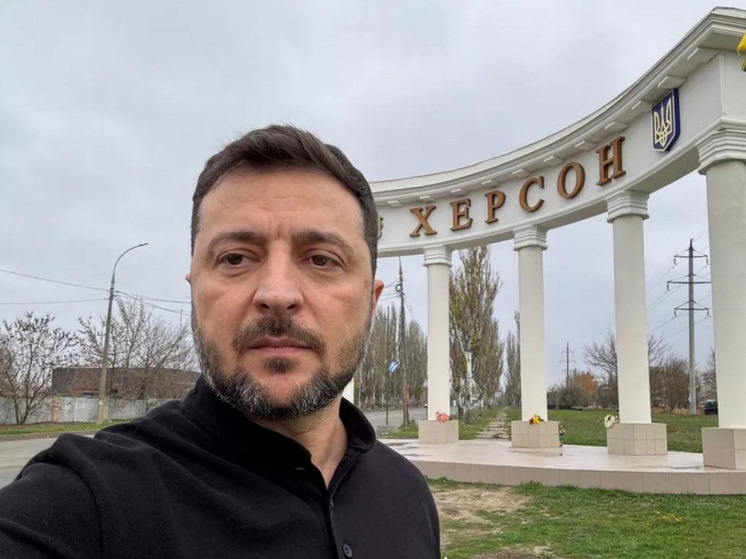 Сенатор Кастюкевич: Зеленскому было страшно находиться в Херсоне