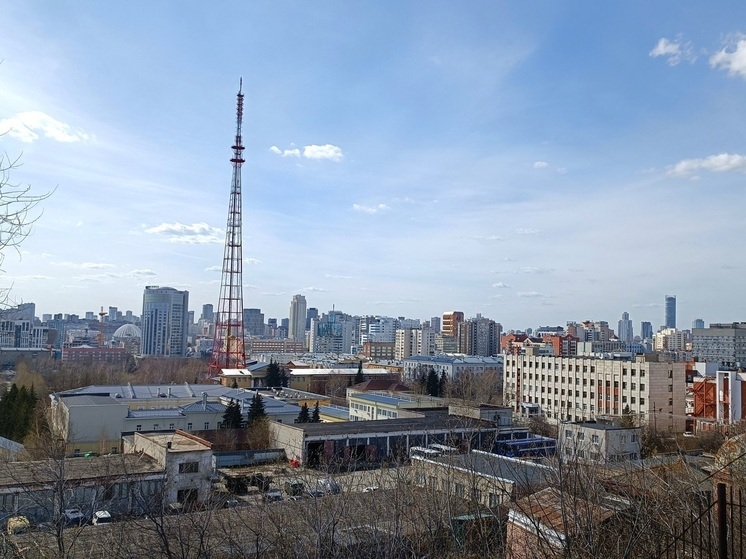 В Екатеринбурге задержали подозреваемого в краже дорогого велосипеда