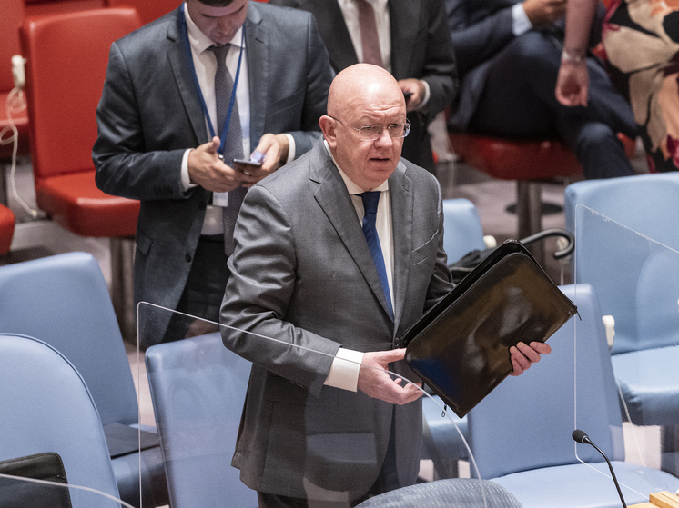 Небензя: Трамп мог не знать некоторые детали украинского конфликта