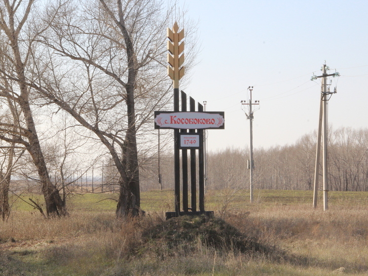 Ответственность за родное. Алтайский аграрий 33 года держит хозяйство, заботясь о селе