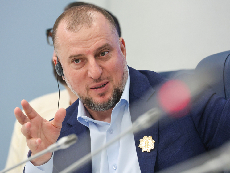 Публицистка Миронова пожаловалась в Минобороны после угроз бойца «Ахмата»