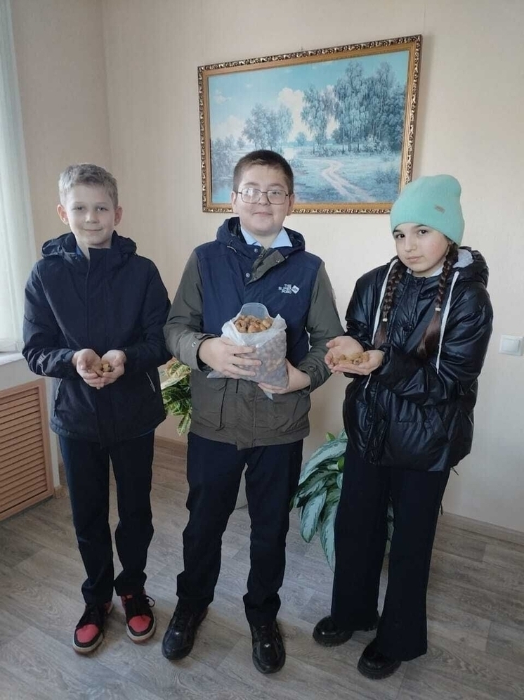 В Орловской области школьники собирают жёлуди