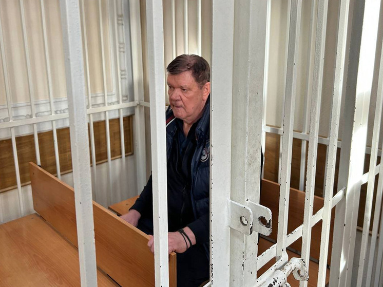 Красноярского застройщика Владимира Егорова освободили из-под стражи