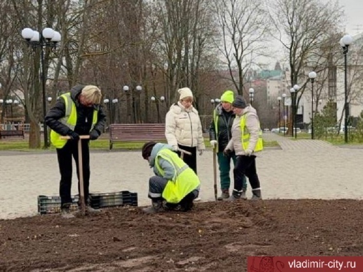 Во Владимире высаживают тысячи тюльпанов