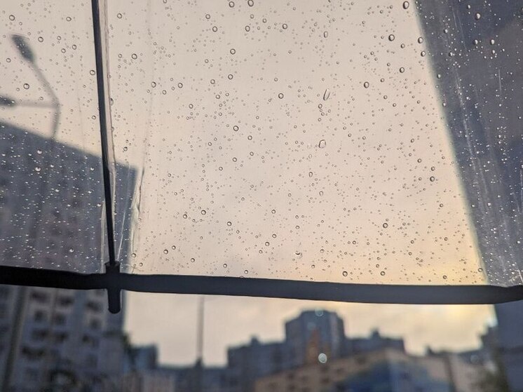 Ленинградцев 12 ноября ожидают небольшие дожди и до +8 градусов