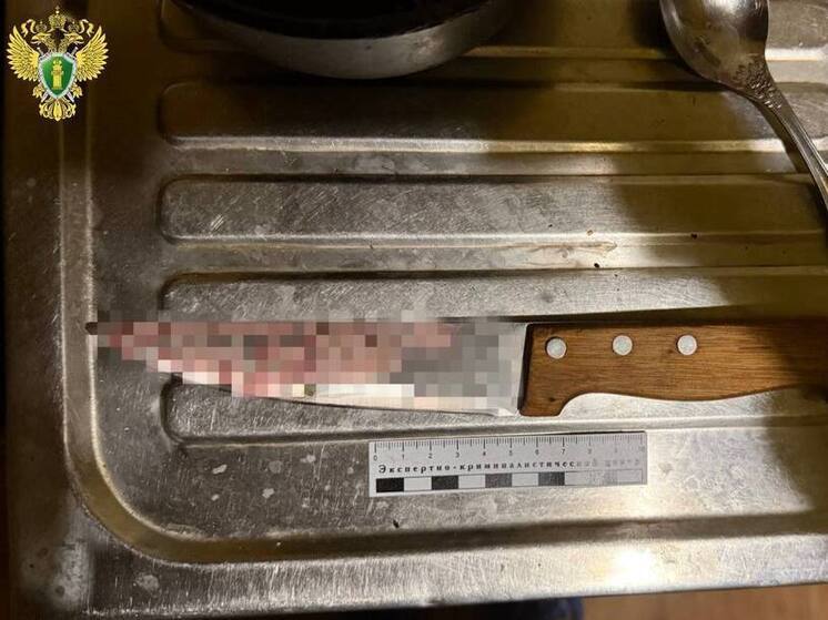 44-летняя йошкаролинка задержана по подозрению в убийстве бывшего мужа