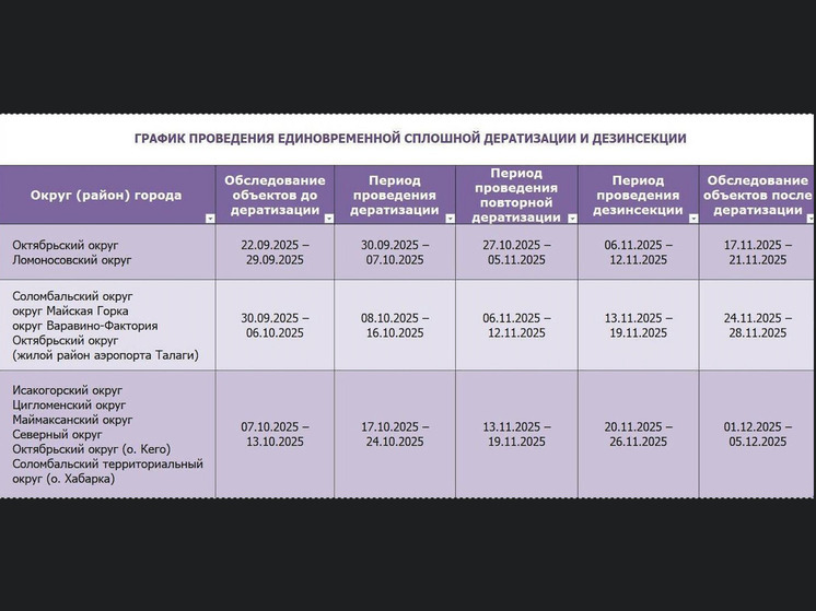 В Архангельске стартует повторная дератизация в пяти округах
