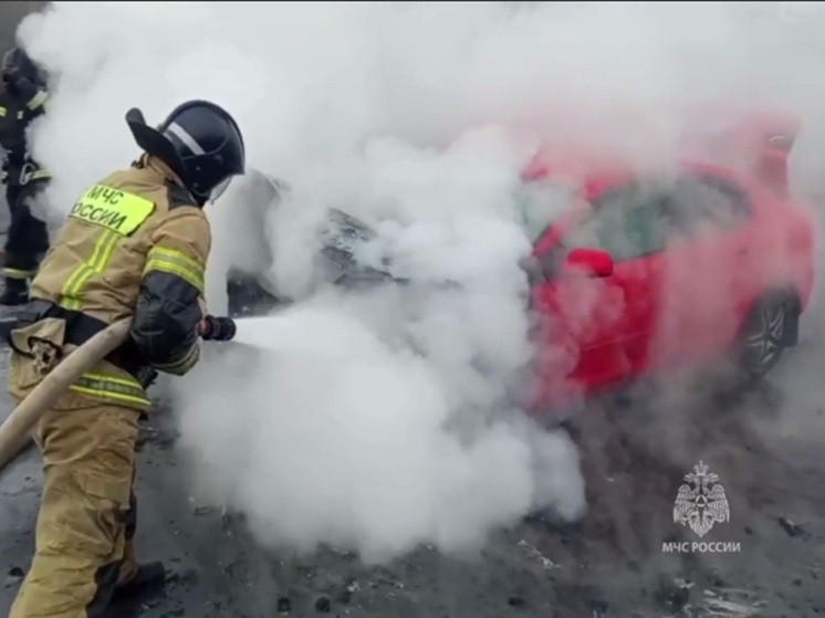 58 возгораний автомобилей зарегистрировано в Курганской области