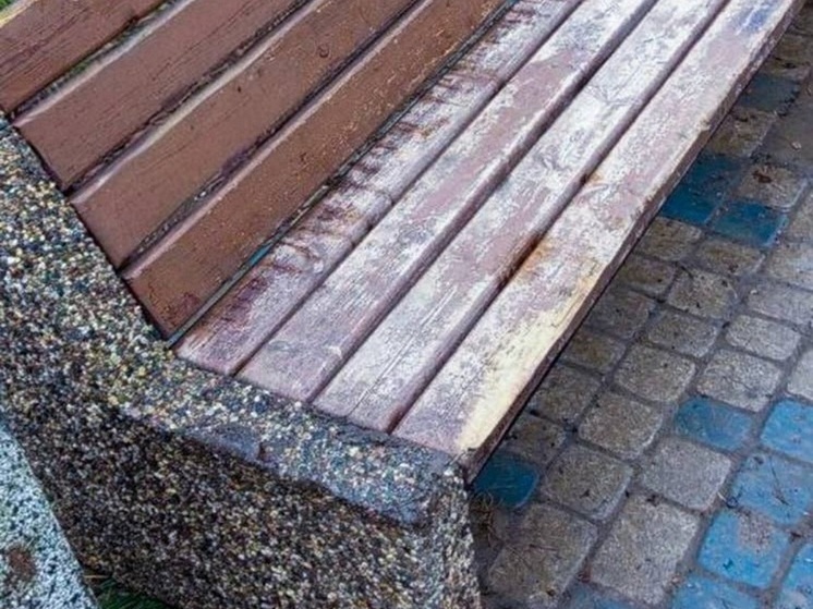 В Курске на Майском бульваре неизвестные повредили скамейки