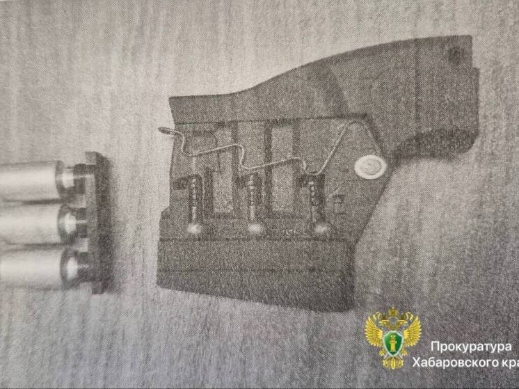 Житель Хабаровска стрелял в общественном месте, дело дошло до суда