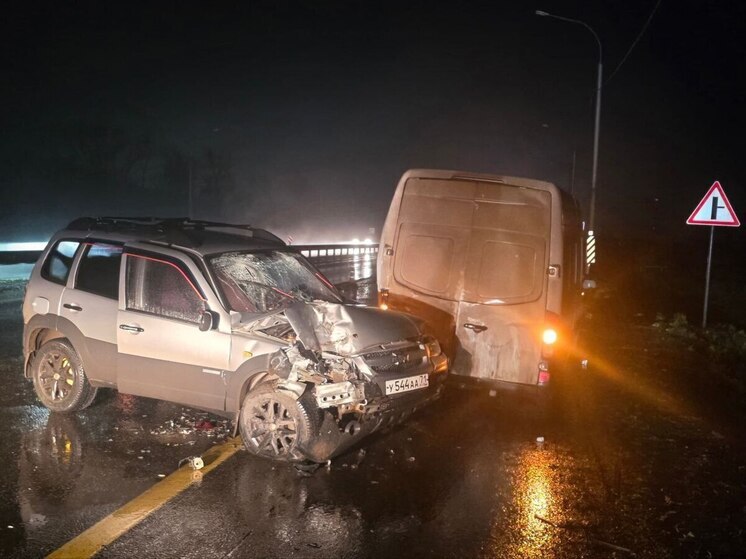 В Тульской области трое человек пострадали в ДТП «Нивы» и микроавтобуса на М-4