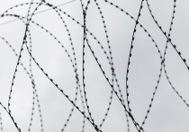 Министр юстиции Великобритании Дэвид Лэмми заявил, что с апреля в Англии и Уэльсе по ошибке был освобожден 91 заключенный