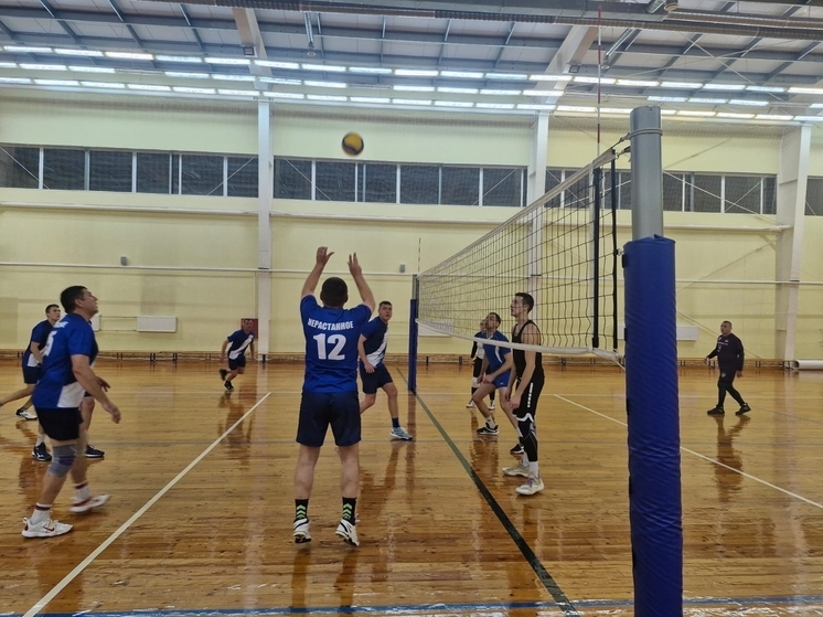 Товарищеская встреча по волейболу прошла в Серпухове